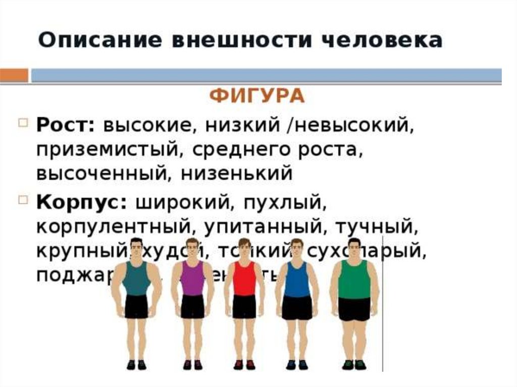 Описать внешний вид человека можно различными способами прочитайте образец