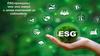 ESG-принципы: что это такое и зачем компаниям их соблюдать