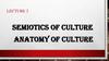 Semiotics of culture. Anatomy of culture. Lecture 2