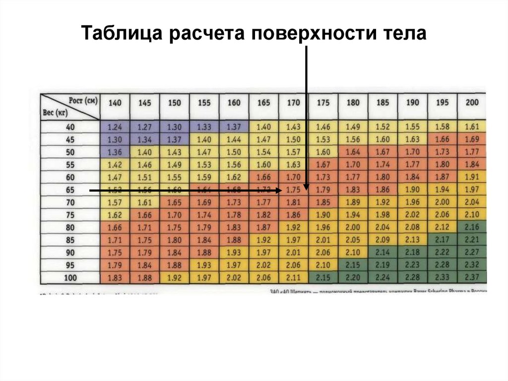 Площадь для химиотерапии