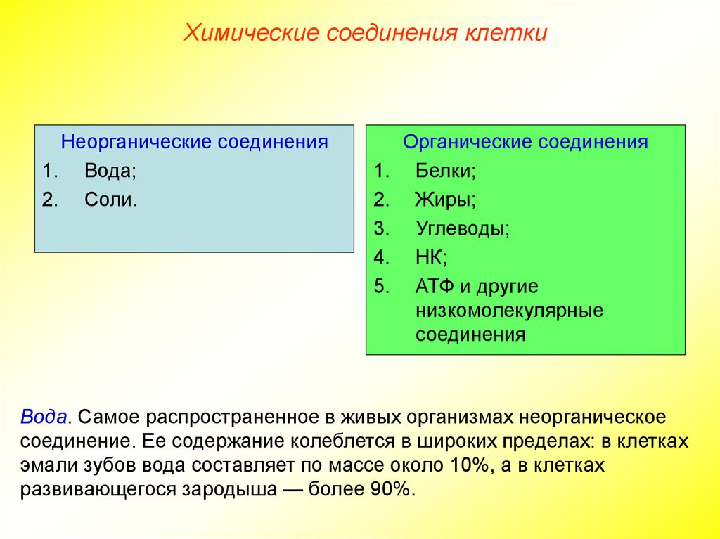 Вещества клетки вода. Неорганические соединения клетки. Органические и неорганические вещества клетки. Органические вещества клетки и живых организмов. Неорганические элементы и соединения клетки.