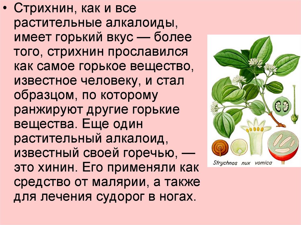 Стрихнин - презентация онлайн