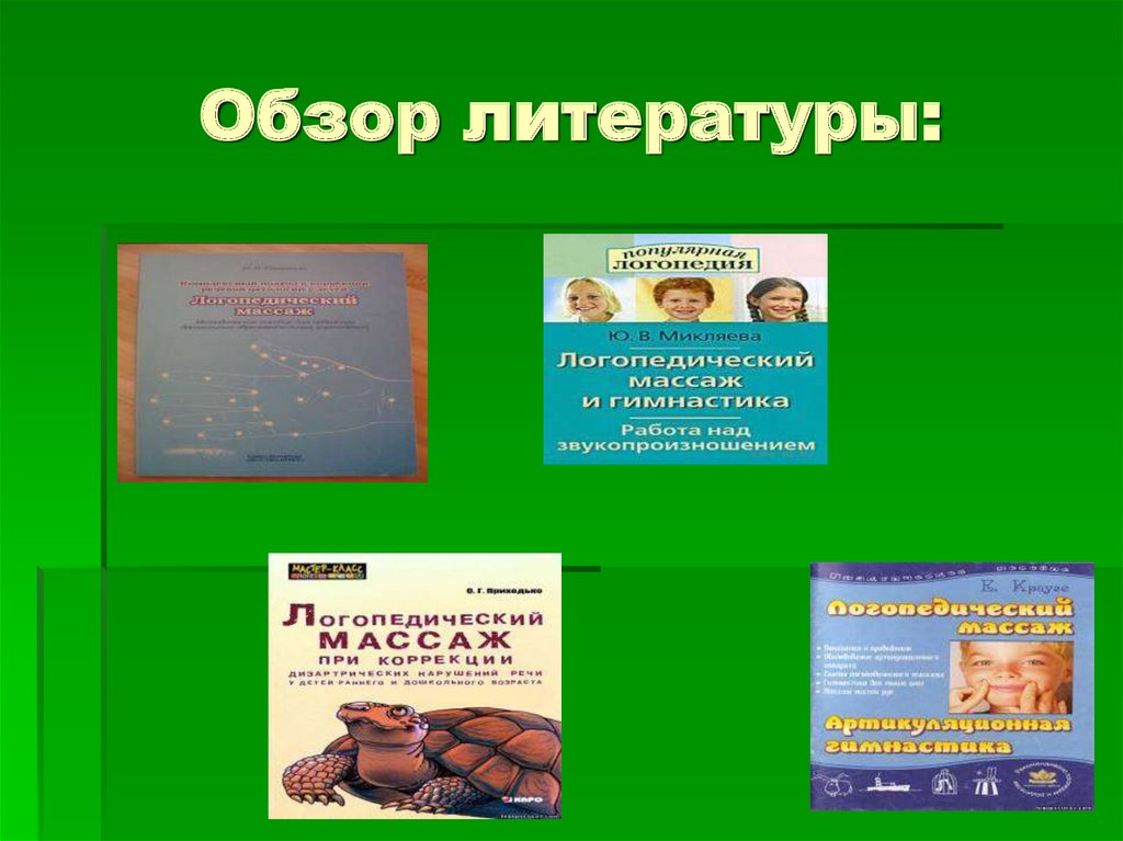 Обзор литературы: