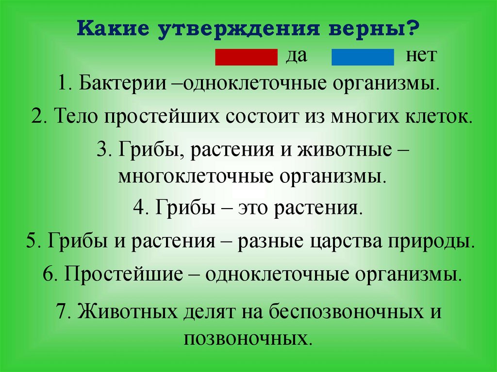 Тело верно. Какие утверждения верны. Утверждения по биологии. Какие утверждения верны биология 5 класс. Биология верные утверждения.