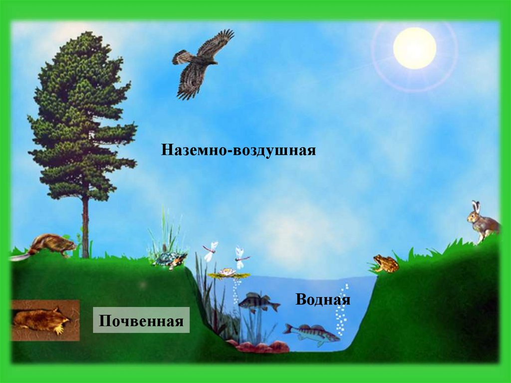 Наземно воздушная