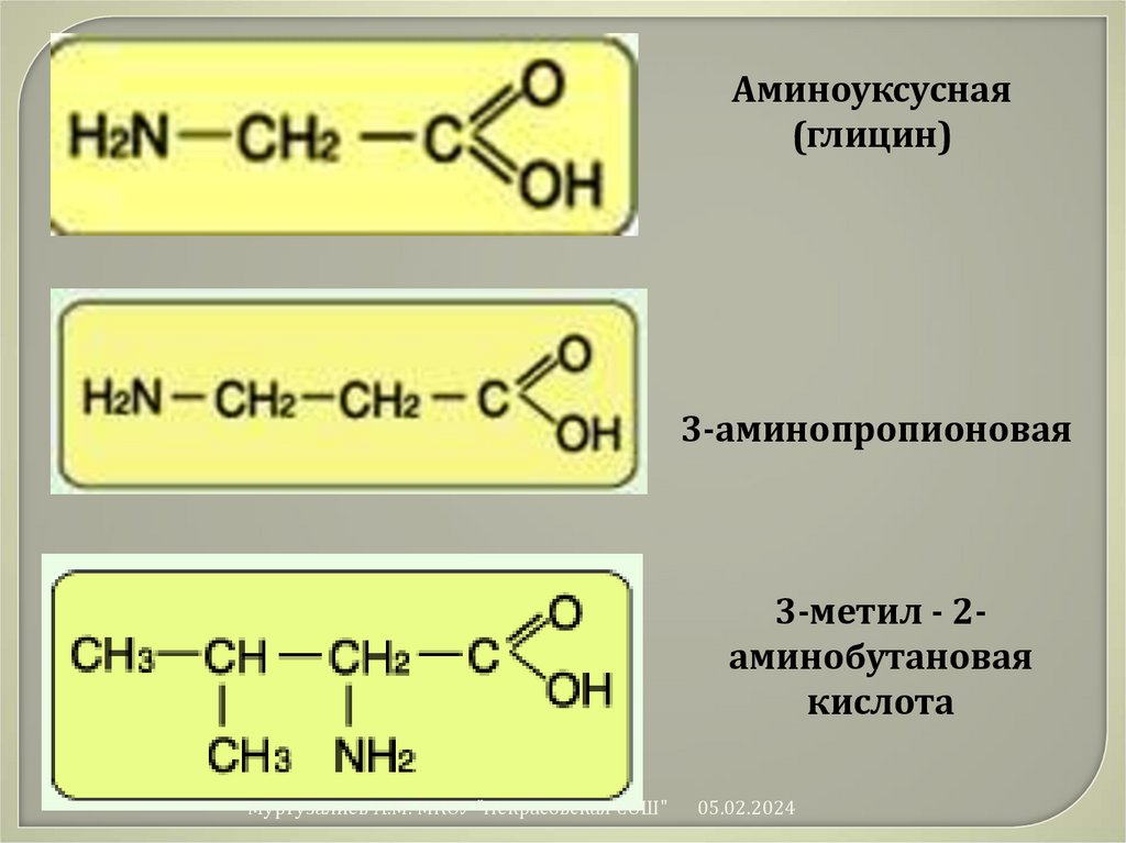 Глицин класс соединений. 2 Метил 2 аминопропионовая кислота. Аминоуксусная кислота и аминобутановая кислота. 2 Амино пропионовая кислота. Аминно уксусная кислота.
