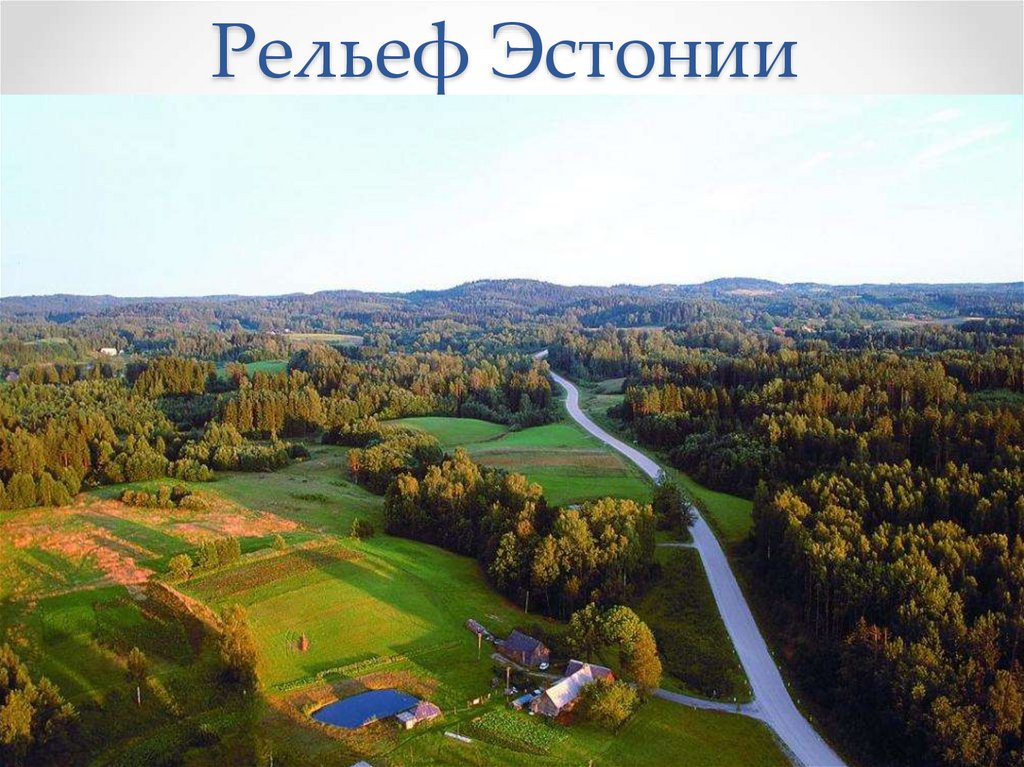 Рельеф Эстонии