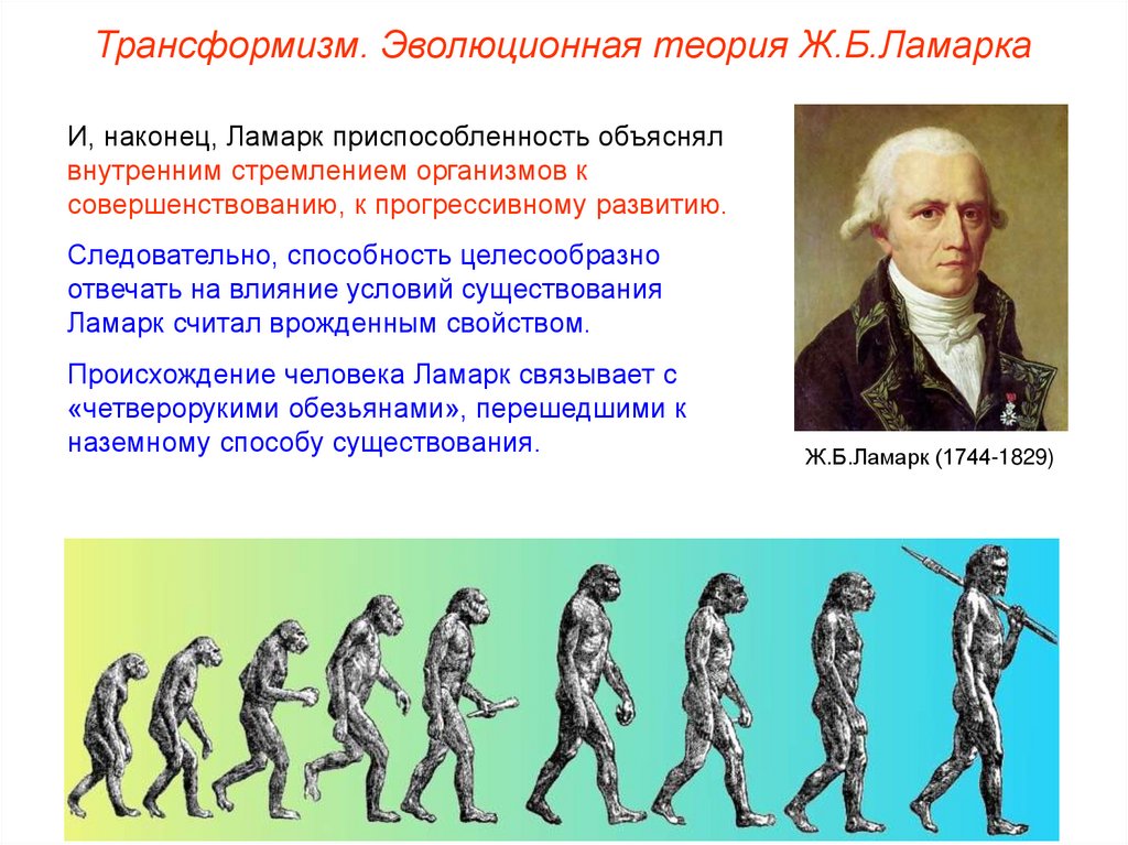 Эволюционное происхождение человека презентация 9 класс пономарева. Трансформизм теория эволюции. Теория Ламарка об эволюции человек. Происхождение человека по Ламарку.
