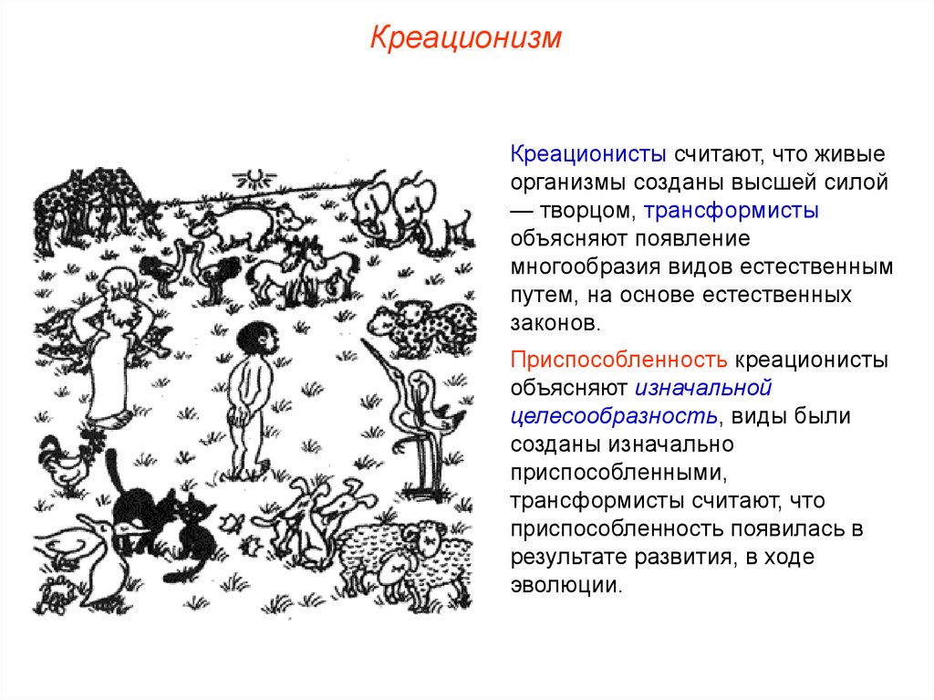 Появление живого организма. Креационизм кратко. Креационизм доказательства гипотезы. Современный креационизм. Креационисты и трансформисты.