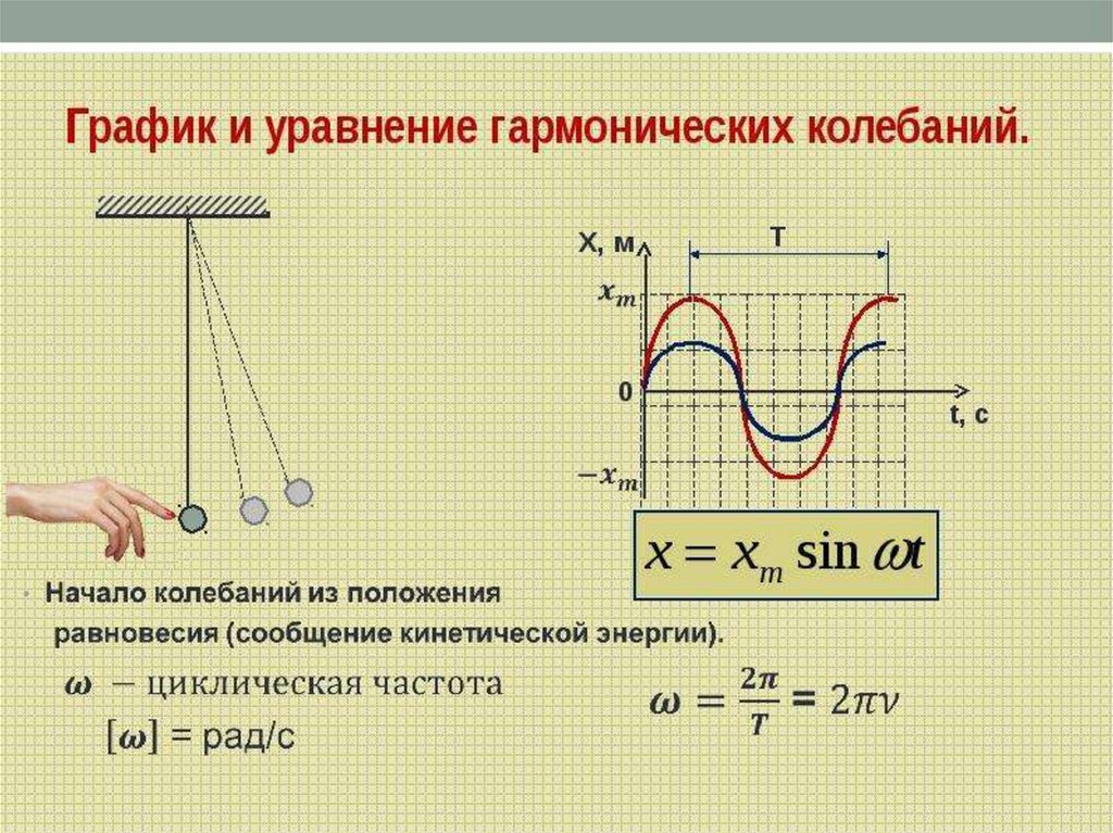 Период колебаний из уравнения гармонических колебаний. Формула координаты гармонических колебаний. Гармонические колебания уравнение и график. Уравнение и график колебательного процесса. График гармонических колебаний материальной точки.