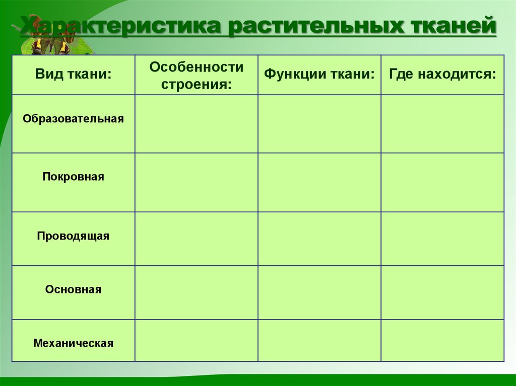 Заполните схему ткани растений