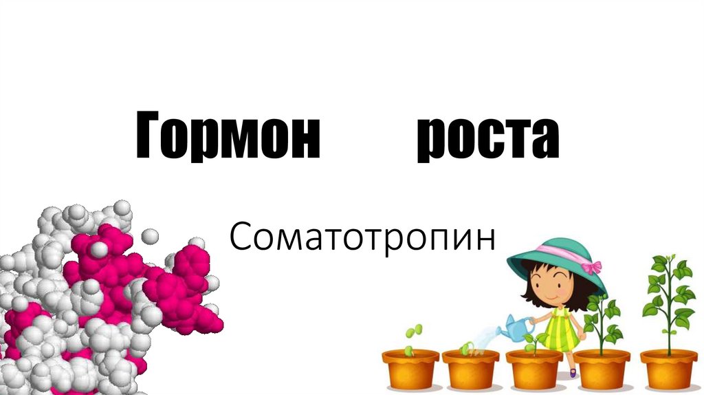 Гормон роста - online presentation