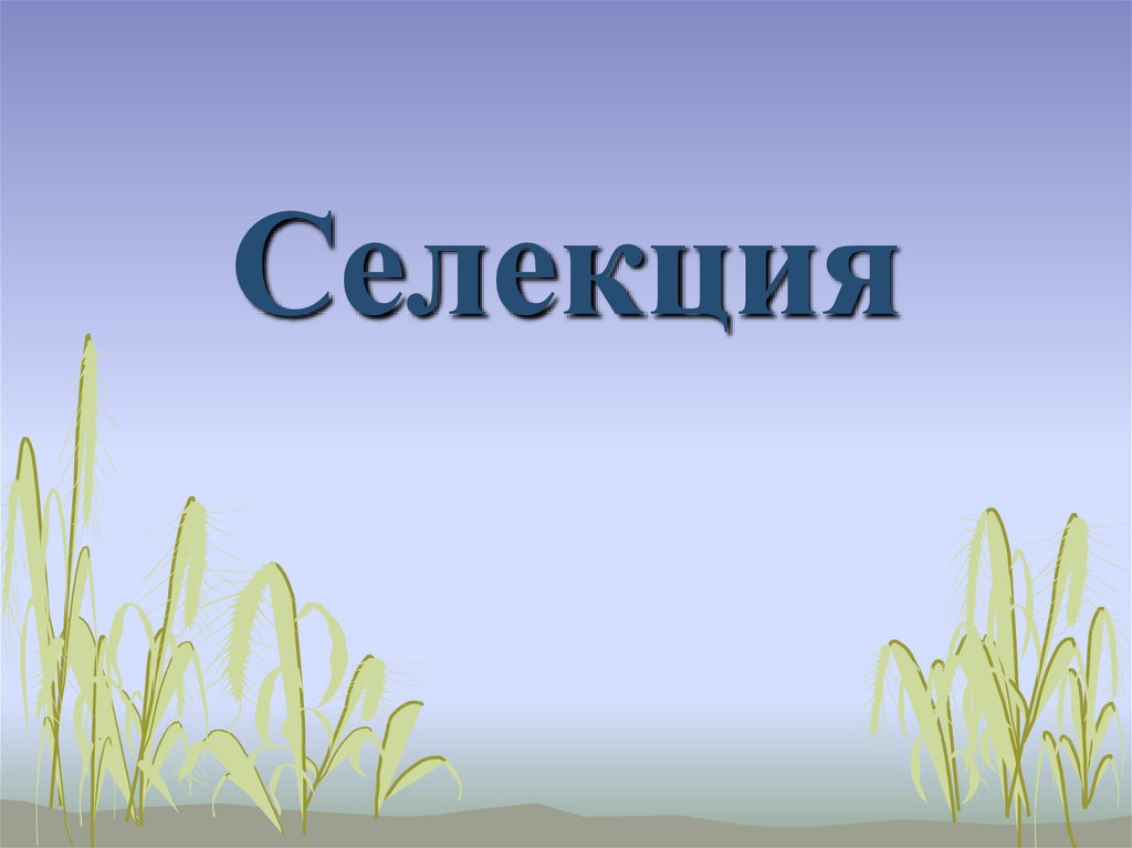 Селекция презентация