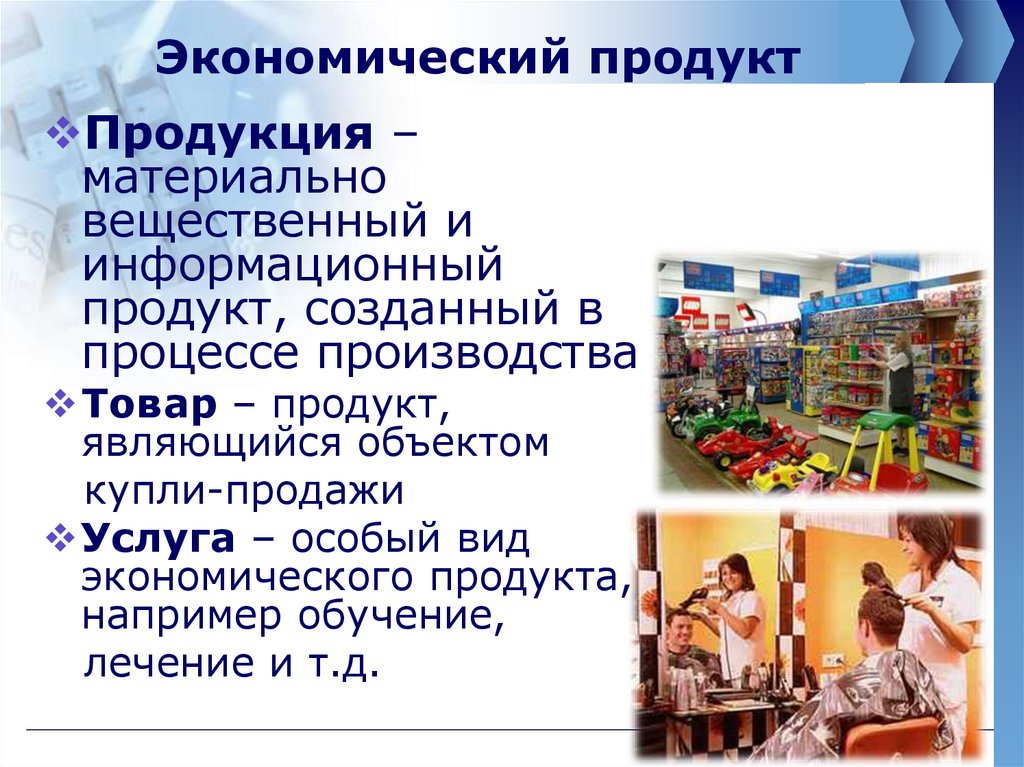 Виды экономических продуктов