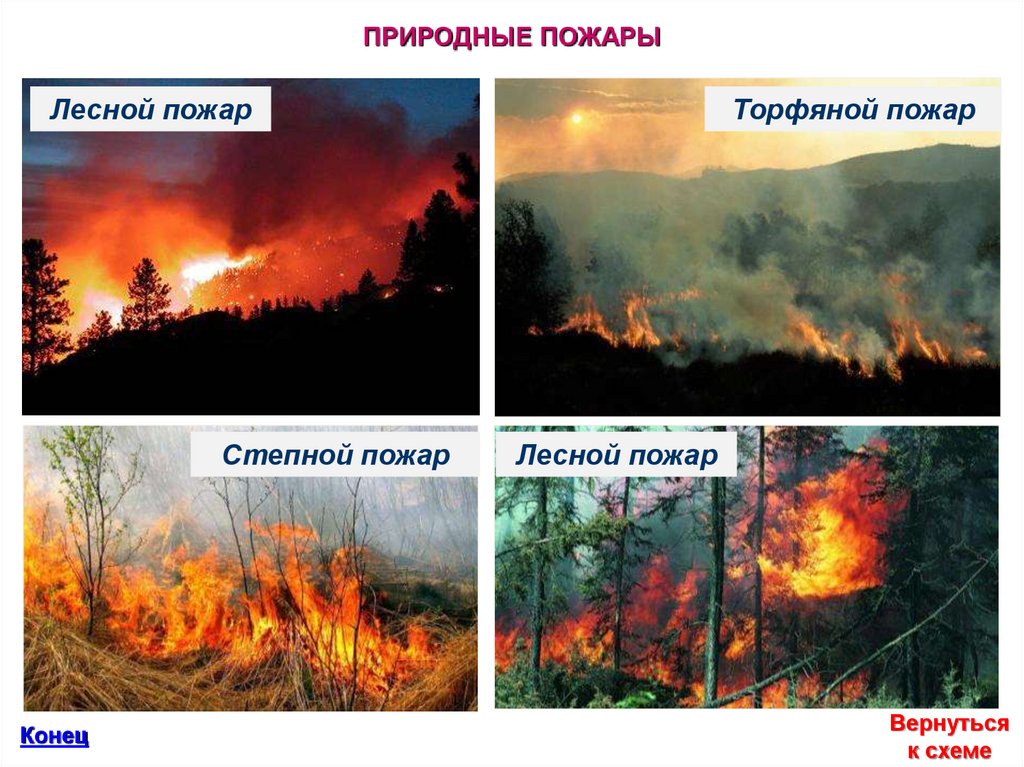 Природный пожар определение. Природные пожары ЧС природного характера. Лесные и торфяные пожары. Чрезвычайная ситуация пожар. ЧС Лесные пожары.