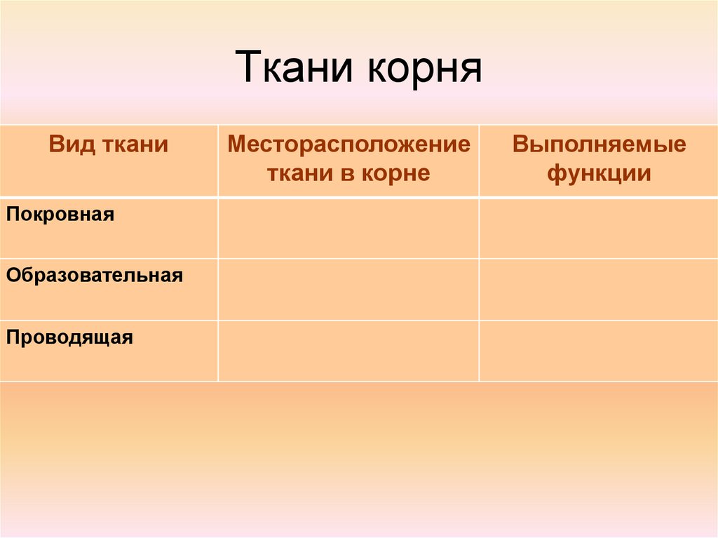 Вид биология 6 класс. Ткани корня таблица. Ткани корня биология 6 класс. Ткани корней и их функции. Ткани корня таблица 6.