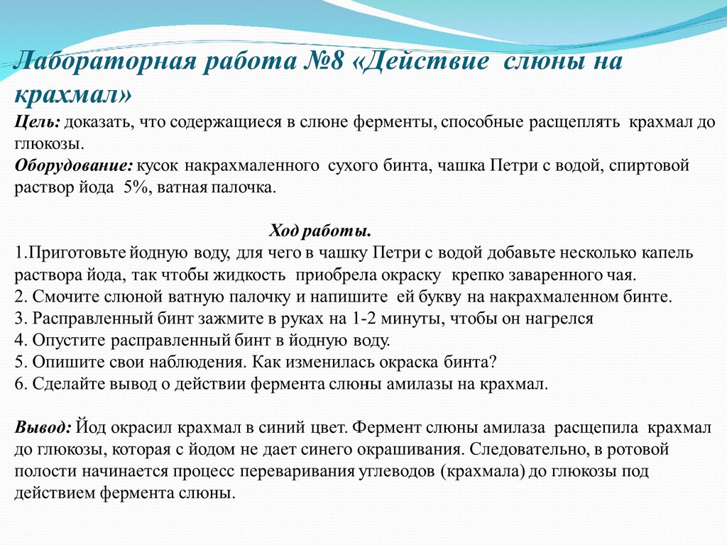 Пищеварение в ротовой полости и в желудке - презентация онлайн