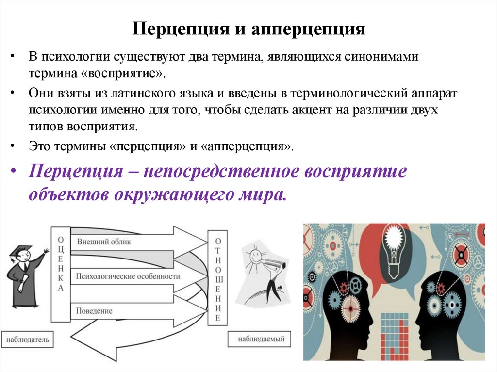 Перцепция картинки для презентации