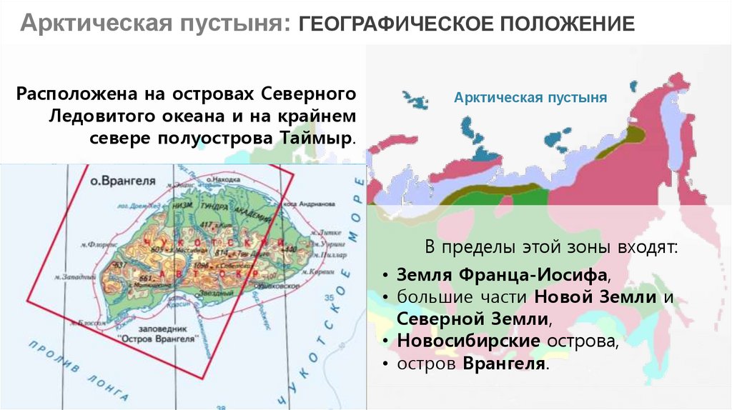 Географическое положение лесотундры 8 класс таблица