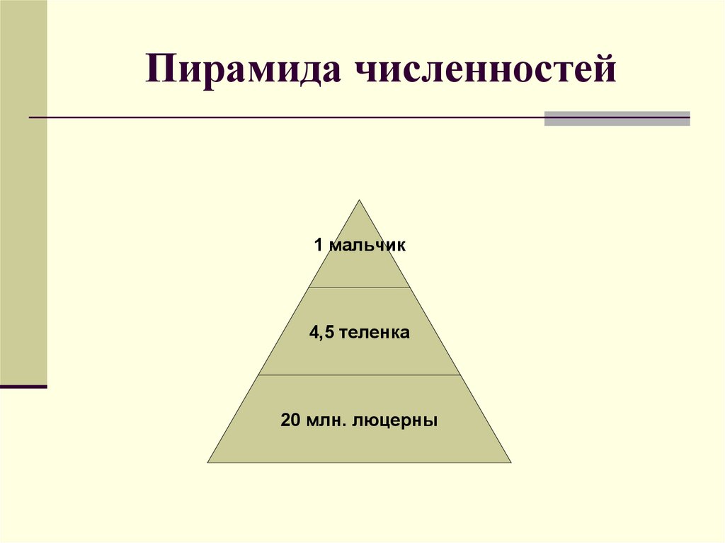Пирамида численностей