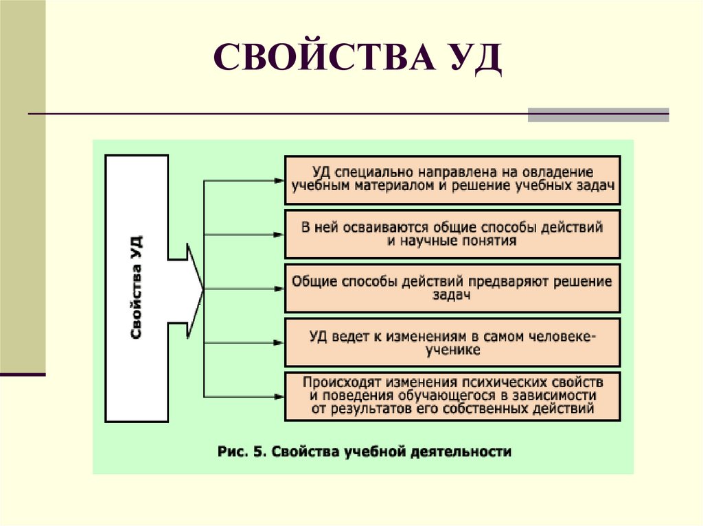 Функции уд