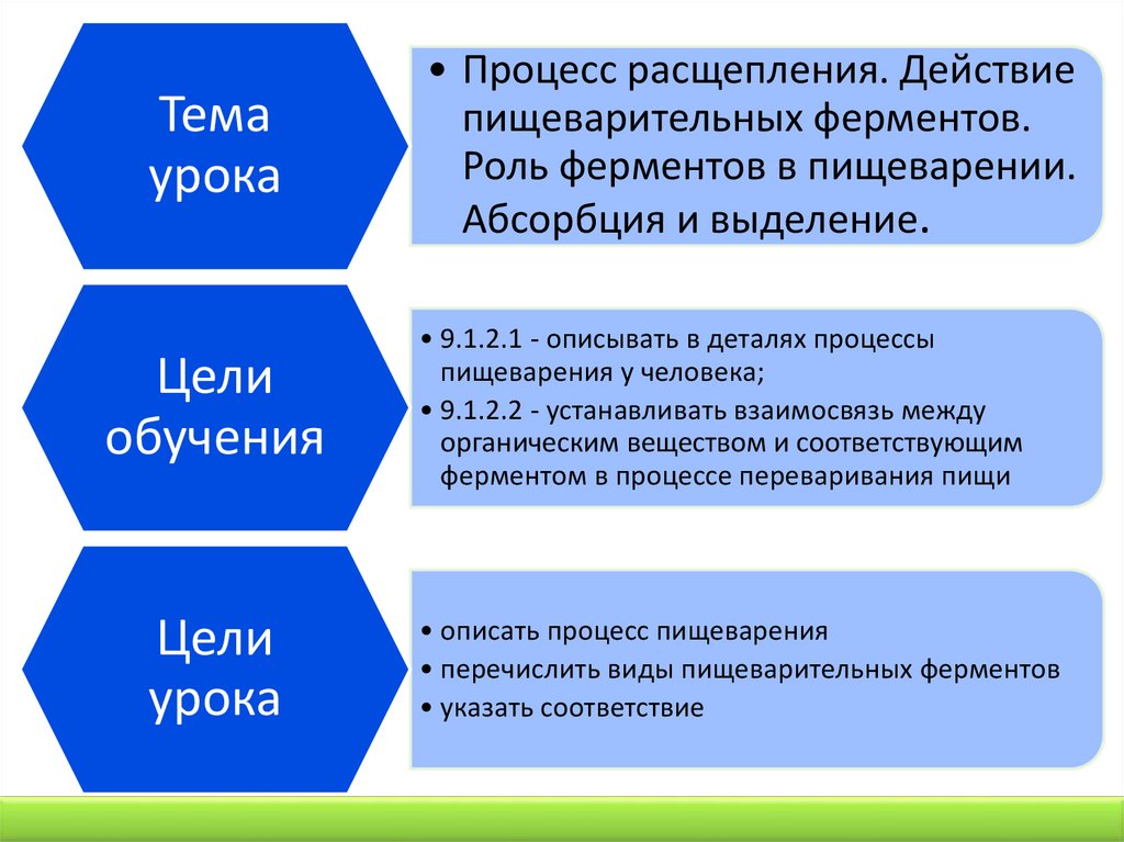 Молекулярные процессы расщепления презентация 11 класс пономарева