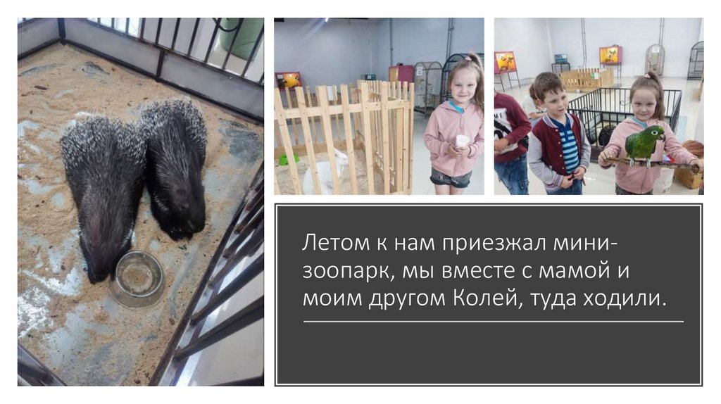 Женя Родионова - презентация онлайн