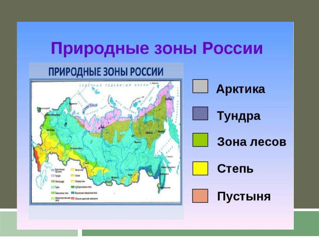 Карта природных зон 4 класс окружающий мир впр