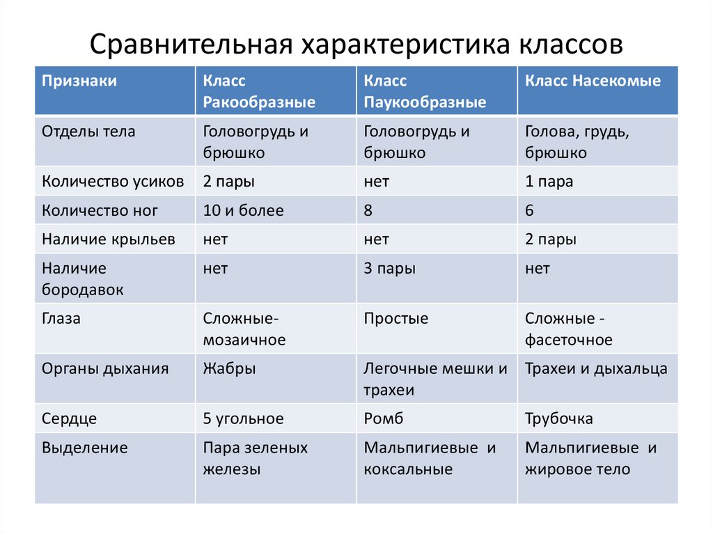 Сравнительная характеристика классов Членистоногие. Сравнительная характеристика типа членистоногих. Сравнительная характеристика членистоногих ЕГЭ. Виды характеристики класса.