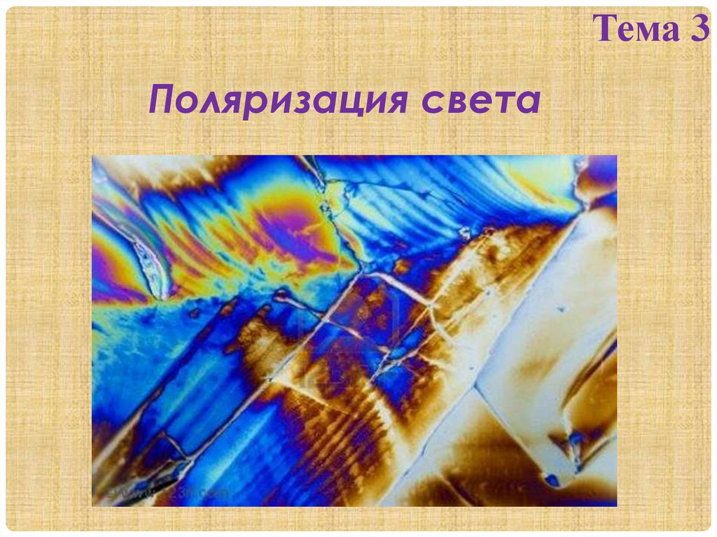 Поляризация света. Естественный и поляризованный свет - презентация онлайн