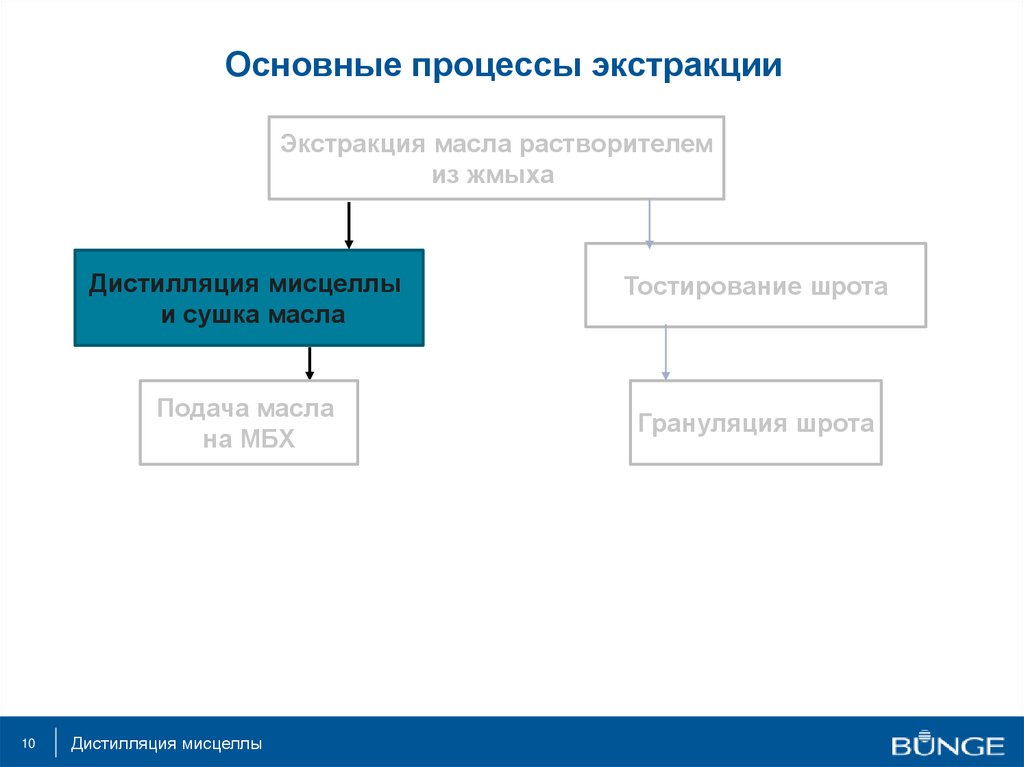 Основные процессы экстракции
