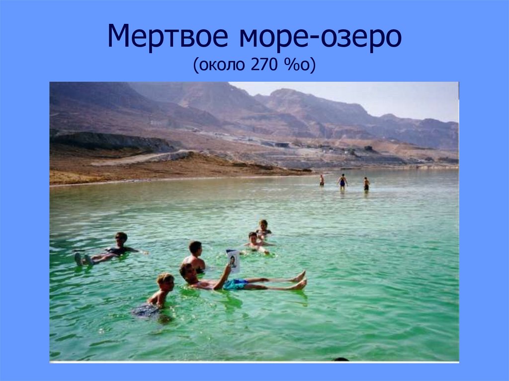 Мертвое море-озеро (около 270 %о)