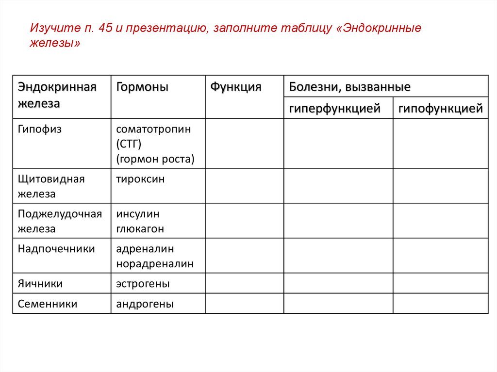 Гормоны эндокринной системы и их функции. Гормоны эндокринной системы и их функции