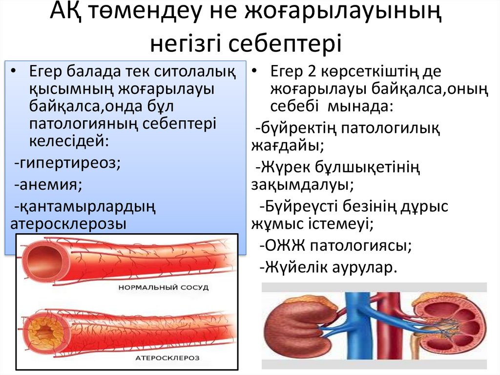 Пульс - презентация онлайн