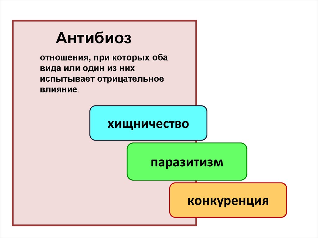 Типы взаимодействия организмов презентация