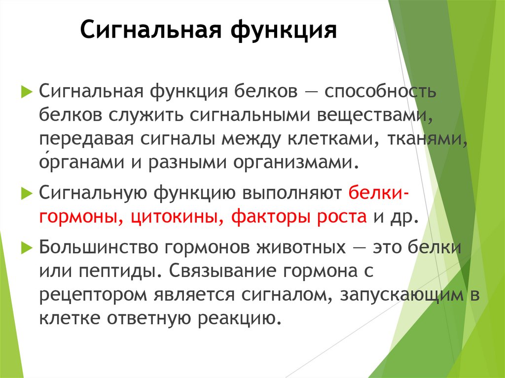 Сигнальная функция белков. Функции белков сигнальная функция. Сигнальная функция белков примеры. Сигнальная функция основная характеристика.