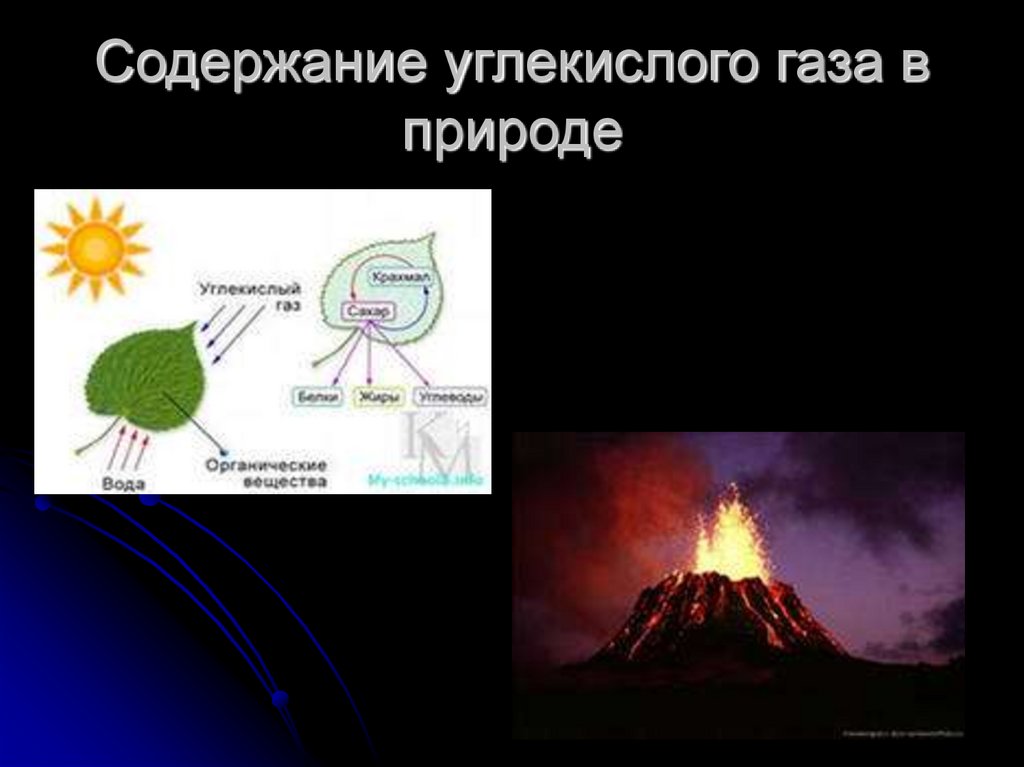 Содержание углекислого газа в природе