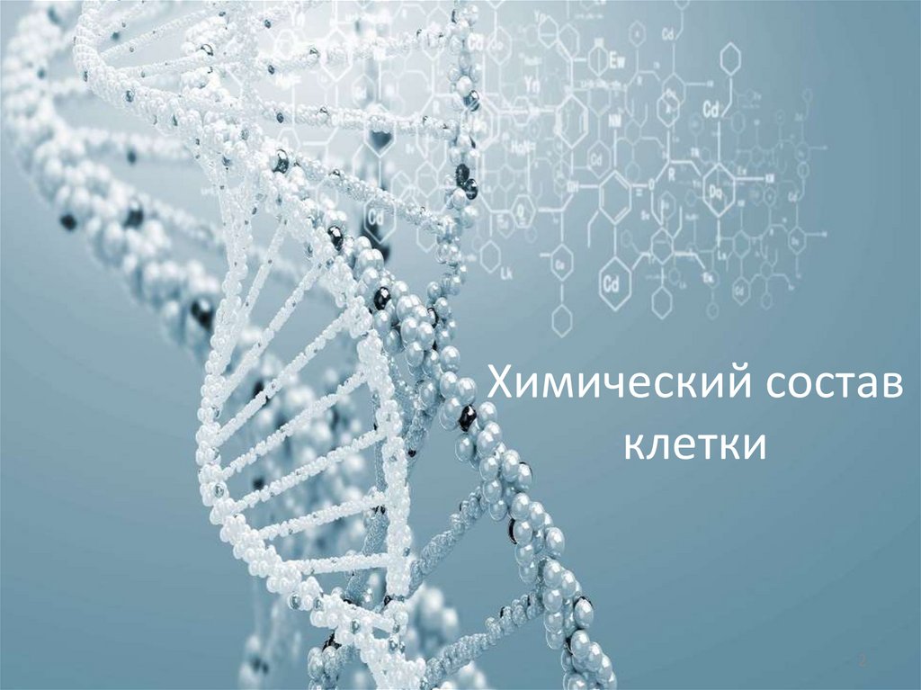 Химический состав клетки