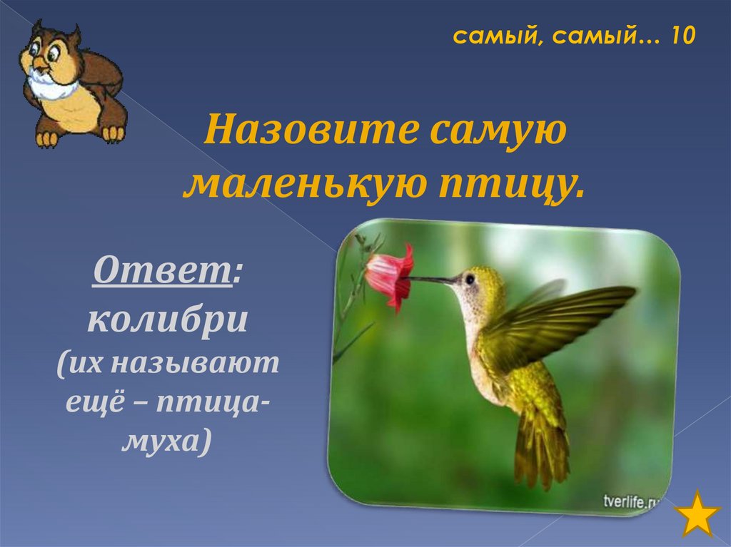 Есть в реке работники не столяры не плотники а выстроят плотину хоть пиши картину