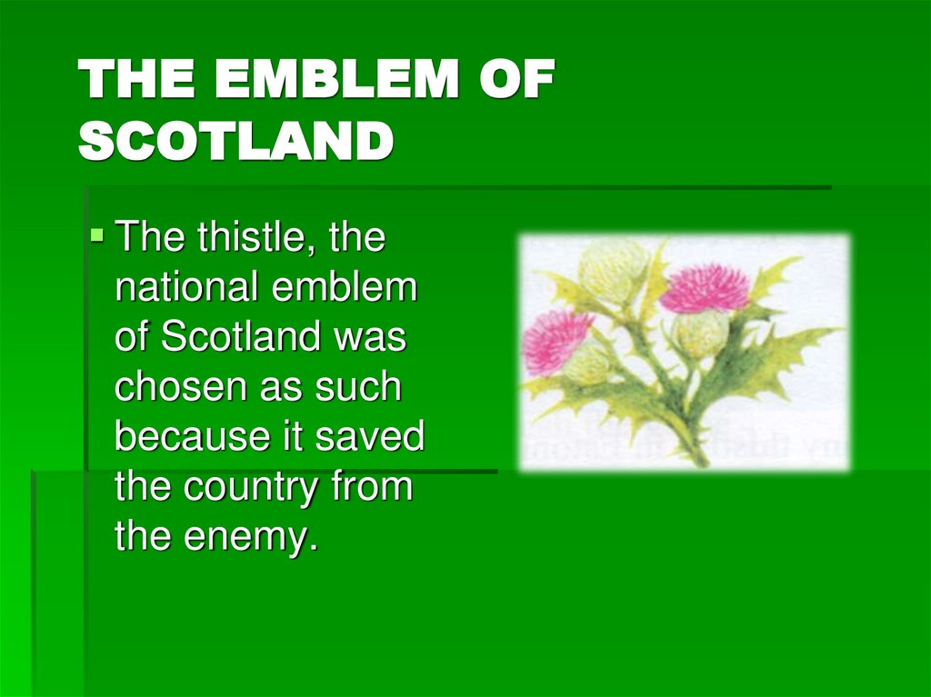 THE EMBLEM OF SCOTLAND