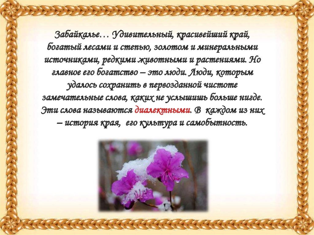 Диалектные слова Забайкалья - презентация онлайн