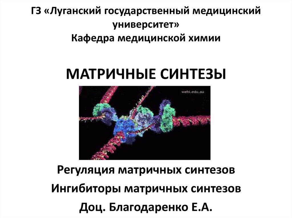 В результате реакций матричного синтеза синтезируются молекулы. Матричный Синтез. Ингибиторы матричных синтезов. Матричные синтезы биохимия. Матричный Синтез презентация.