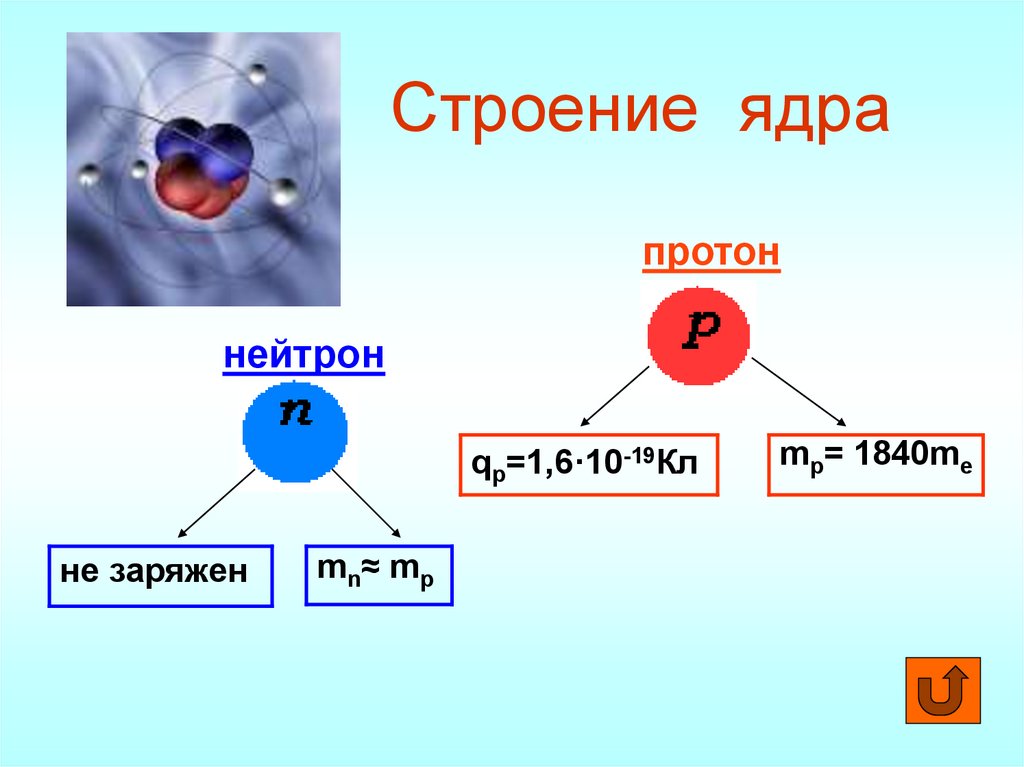Частица входящая в состав протонов и нейтронов