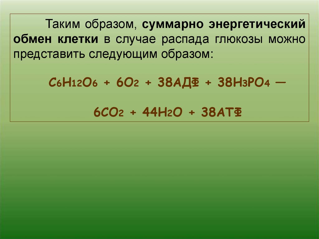 Энергетический обмен в клетке 9 класс презентация