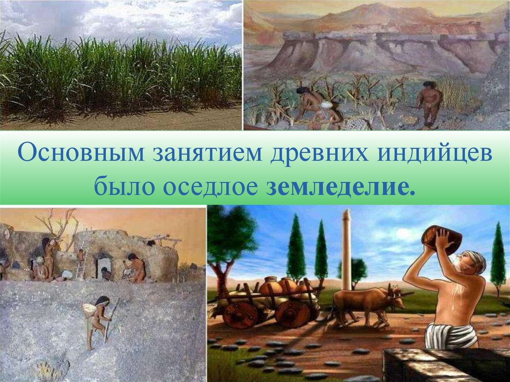 Природа и люди индии 5 класс. Земледелие в древней Индии 5 класс. Природа и люди древней Индии земледелие. Занятия в древней Индии. Занятия людей в древней Индии.