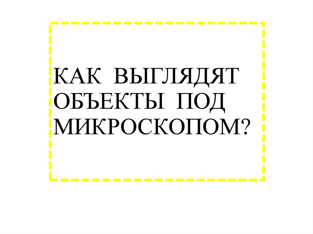КАК ВЫГЛЯДЯТ ОБЪЕКТЫ ПОД МИКРОСКОПОМ?