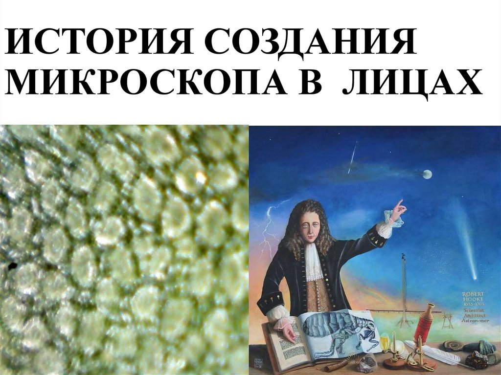 ИСТОРИЯ СОЗДАНИЯ МИКРОСКОПА В ЛИЦАХ