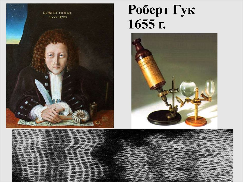 Роберт Гук 1655 г.