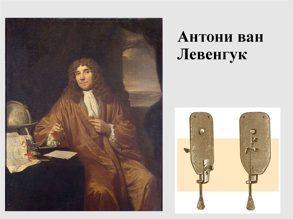 Антони ван Левенгук