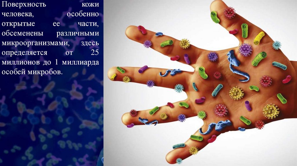 Микрофлора человека и ее нарушения - презентация онлайн
